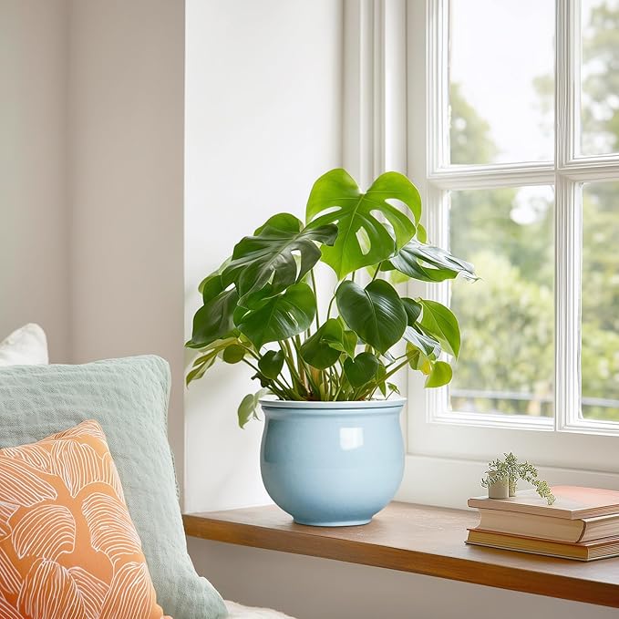 Ceramic African Violet Pots for Indoor Plants, 6 Inch Self Watering Planters with Absorbent Inner Pot, Self Watering Plant Pot, Ceramic Flower Pots, Desk Decor, Housewarming Gifts, Light Blue