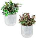 Melphoe Self Watering Pots for Indoor Plants Planter, 5.3 Inch 2 Pack Planters Self Watering Plant Pots for Flower, Houseplants, Succulent, African Violets and Cactus with Drainage