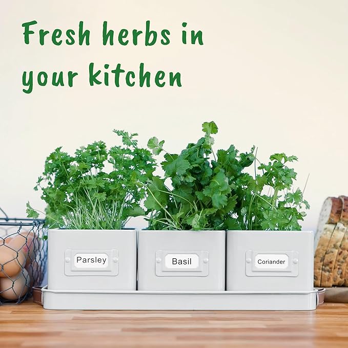 volila Herb Planter Indoor - Set of 3 Warmstone Indoor Herb Garden Pots for Plants with Leather Handled Tray - Window Sill Plant Shelf - Herb Pots with Drainage Holes and Labels