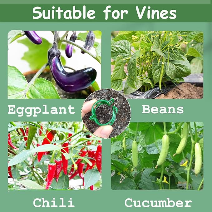 Plant Support Clips, 100 Pcs Tomato Clips, Plastic Trellis Clips, Grape Vine Tomato Vine Vegetables Plants Garden Support Clips to Grow Upright Makes Plants Healthier