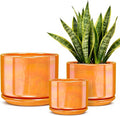 EFISPSS Ceramic Plant Pots,4+5+6 Inch Ceramic Indoor Pots for Plants with Drainage Hole,for Succulent Cactus,Pothos,Snake Plant Gift for Plant Lovers Set of 3 - Orange Pearl Glaze Plant Pots