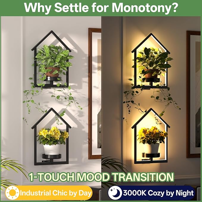 Wall Planters for Indoor Plants with Lights, 2 Pack House Shape Plant Shelves, Anti-Rust Hanging Wall Plant Holder with Warm Light for Home Decor Indoor Outdoor, Entryway Housewarming/Wedding