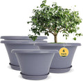 Quarut 12 Inch Large Planter Pot for Plants Indoor Outdoor, 4 Pack Plastic Flower Pots with Drainage Hole & Tray, Modern Decorative Garden Pot with Saucer, Plant Container for House Grey