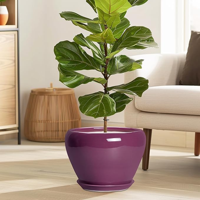 10 Inch Plant Pot - Ceramic Planter with Drainage Hole and Saucer, Round Modern Flower Pot for Indoor Outdoor Plants, Housewarming Gift, Home Garden Decor, Purple