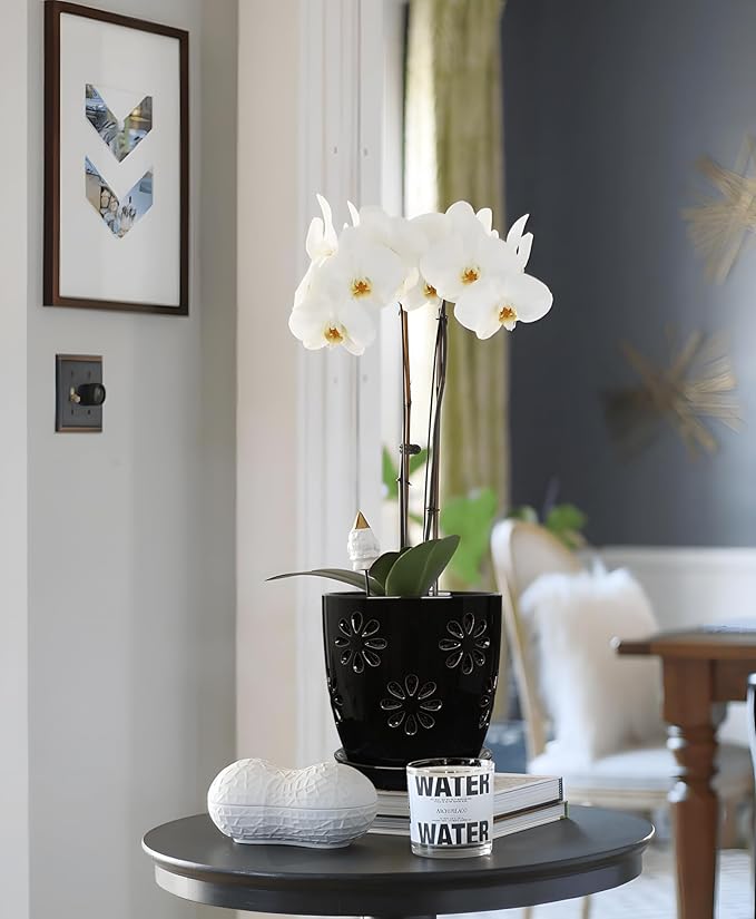 Oairse 6 inch Orchid Pots with Holes, Black Ceramic Orchid Pot for Repotting Small Indoor Plant Pots with Drainage Holes and Saucers Decorative Flower Planter for Orchids, Indoor Plant