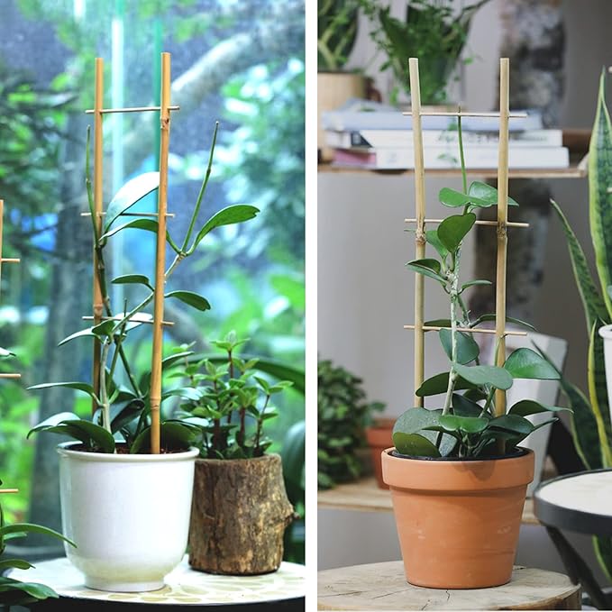 Bamboo Trellis, 16in Ladder-Shaped Trellis for Potted Plants, 3 Pack for Climbing Plants Indoor