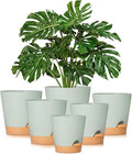 GARDIFE Plant Pots 8/7/6.5/6/5.5/5 Inch Self Watering Planters with Drainage Hole, Plastic Flower Pots, Nursery Planting Pot for All House Plants, African Violet, Flowers, and Cactus,Green