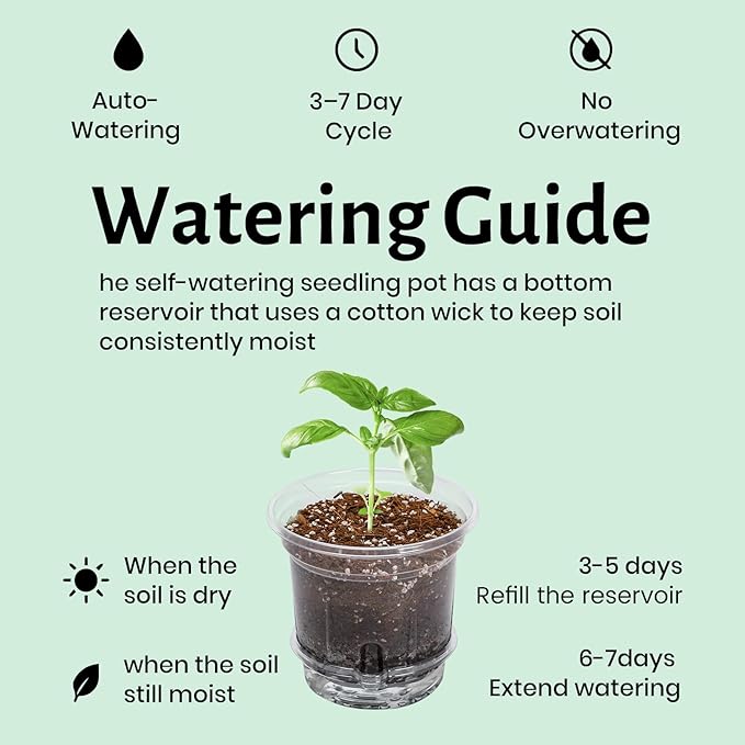 12 Pack 6.5 Inch Clear Self Watering Plant Pots with Bottom Water Tray & Watering Rope, Transparent Nursery Pots with Drainage for Seedlings, Herbs, and Houseplants