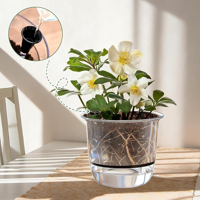 6 Pcs Clear Self Watering Pots for Indoor Outdoor Plants Flowers, 2 Each of 4, 5 and 6 Inch Self Watering Planters with Reservoir, Drainage Hole and Absorbent Cotton Rope
