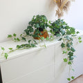Fake English Ivy Plants in Pots Set of 2 – Realistic Artificial Ivy Greenery for Home Decor, Tabletop, Office, Shelf, Balcony or Bathroom – Lifelike Faux Hanging Vines, No Maintenance Required