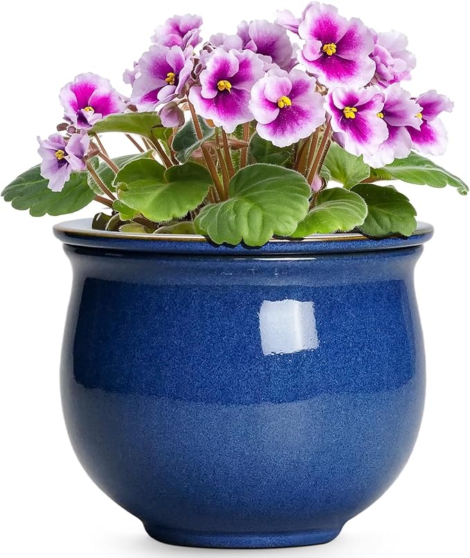 6 Inch Self Watering Pots, Ceramic African Violet Planter with Absorbent Inner Pot, Round Flower Pot for Indoor Plants, Ceramic Pots for Plants, Room Home Decor, Plant Lover Gifts, Blue