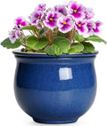 6 Inch Self Watering Pots, Ceramic African Violet Planter with Absorbent Inner Pot, Round Flower Pot for Indoor Plants, Ceramic Pots for Plants, Room Home Decor, Plant Lover Gifts, Blue