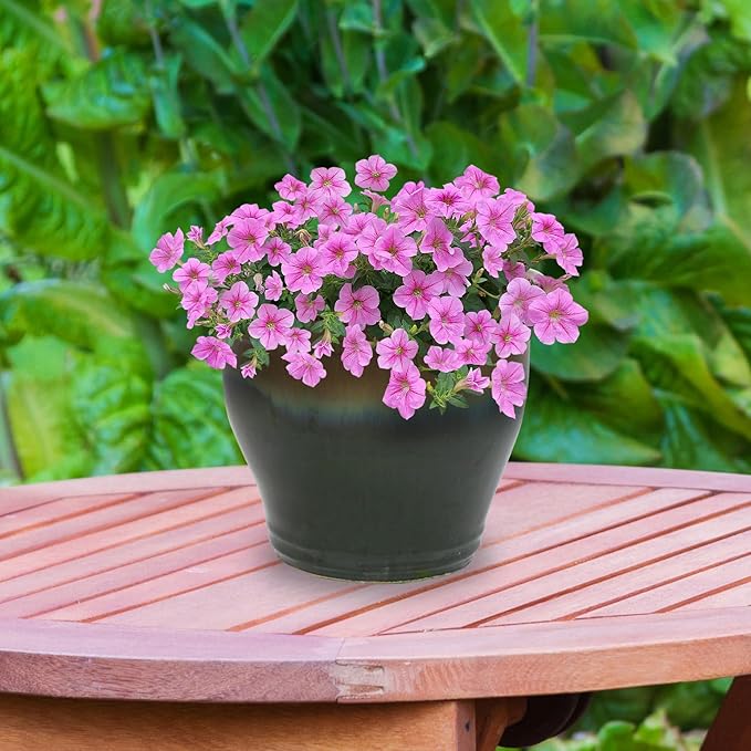Sunnydaze Large Ceramic Plant Pot - Round Outdoor Glazed Ceramic Planter Pot with Drainage - Studio - Forest Lake Green - 14.5"