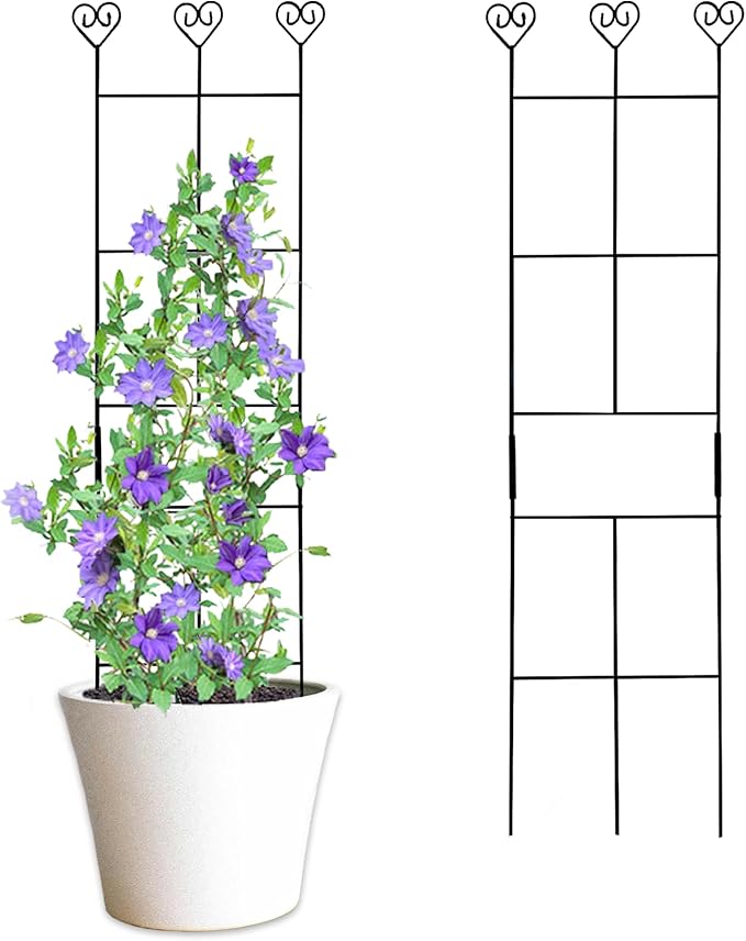 2 Pack 30'' Plant Trellis for Climbing Plants Indoors, Metal Garden Trellis for Potted Houseplant, Rustproof Plant Support for Ivy, Vines, Pothos, Hoya and Flower, Black
