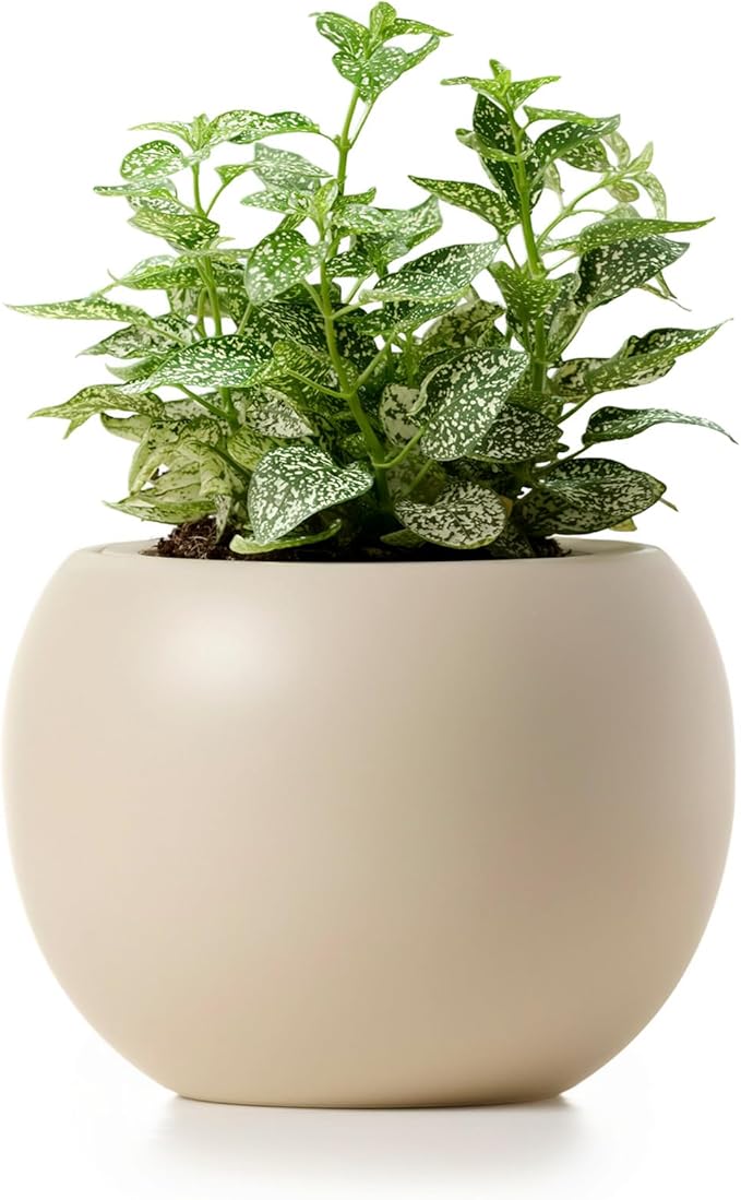 Ceramic Self Watering Plant Pot | 6.8 Inch Pot with 4.5 Inch Inner Pot for Small Plants | Ivory Pot for Indoor Plants | Round Self Watering Planter | Bottom Watering Pots for Indoor Plants