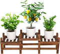 Wood Flower Stand Small Plant Stand Indoor Outdoor Plant Shelf Low Window Shelf for Plants Windowsill Plant Rack for Patio Balcony Hallway Garden (33.5”Long,Multiple Combination Way)