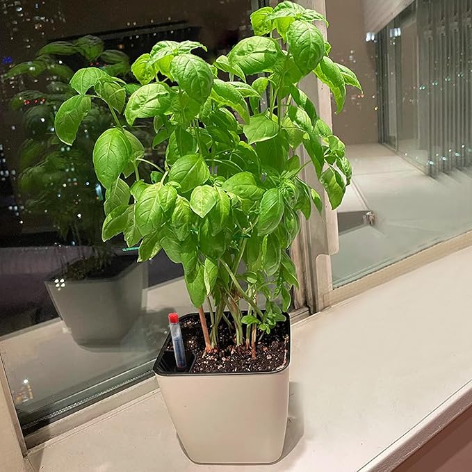 5.5 Inch Self Watering Plastic Planter With Indicator - 6 PCS Square Plant Pots, Decorative Lazy Flower Pot for House Plants, Herbs, Aloe, Succulents