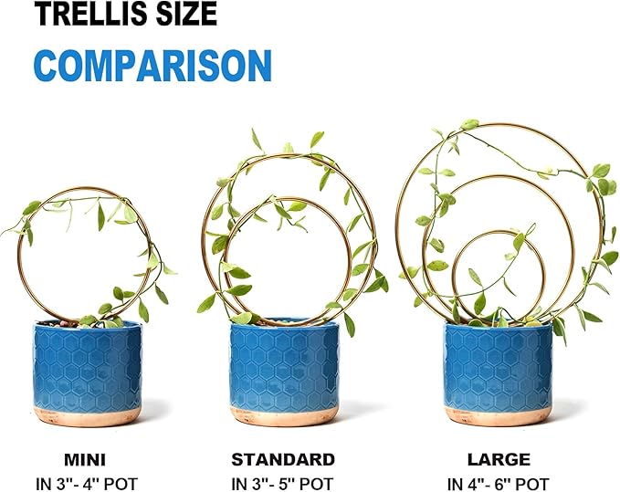 Mirthdino Hoya Trellis- Metal Plant Trellis Indoor 3-Pack for Climbing Plants - Gold Small Garden Trellis for Ivy and Flowers - Unique Patterns - Outdoor Potted Plant Support