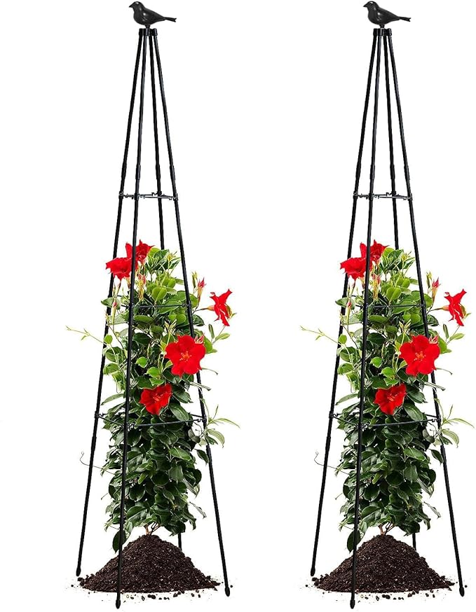 Cucumber Trellis, 67" Tall Obelisk Garden Trellis for Climbing Plants Outdoor Plastic-Coated Metal Support for Flower Vine Vegetable Tomato Cage Cucumebr Trellis Raised Bed, Black, 2 Pack