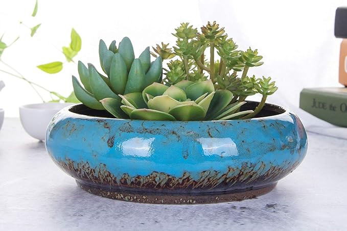 VanEnjoy 7.3 inch Round Large Shallow Succulent Ceramic Glazed Planter Pots with Drainage Hole, Bonsai Pots Garden Decorative Cactus Stand Flower Container (Blue)