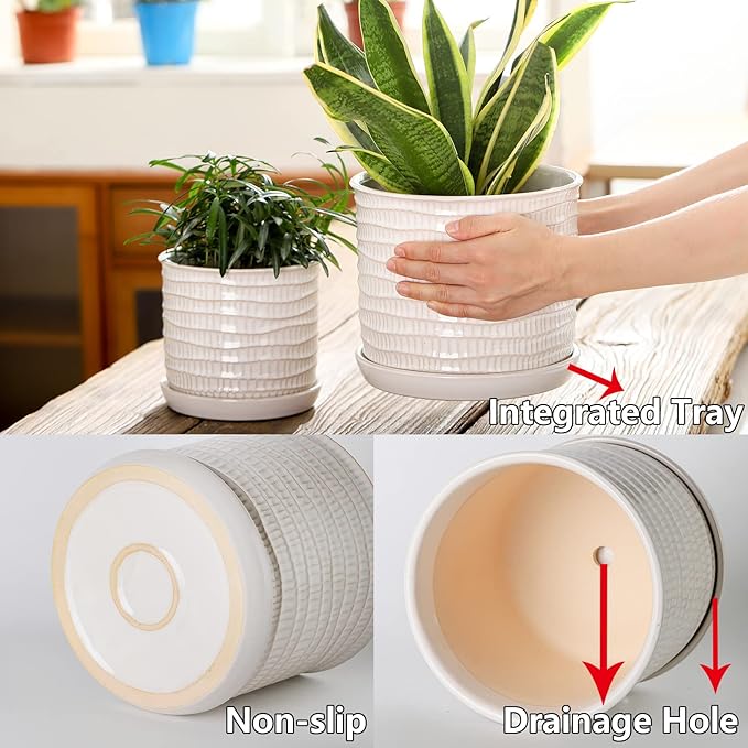 8 Inch Plant Pot: Ceramic Planter with Drainage Hole & Saucer for Indoor Outdoor Plants - Flowerpot with Bonded Tray for Home Office - Wave Embossed