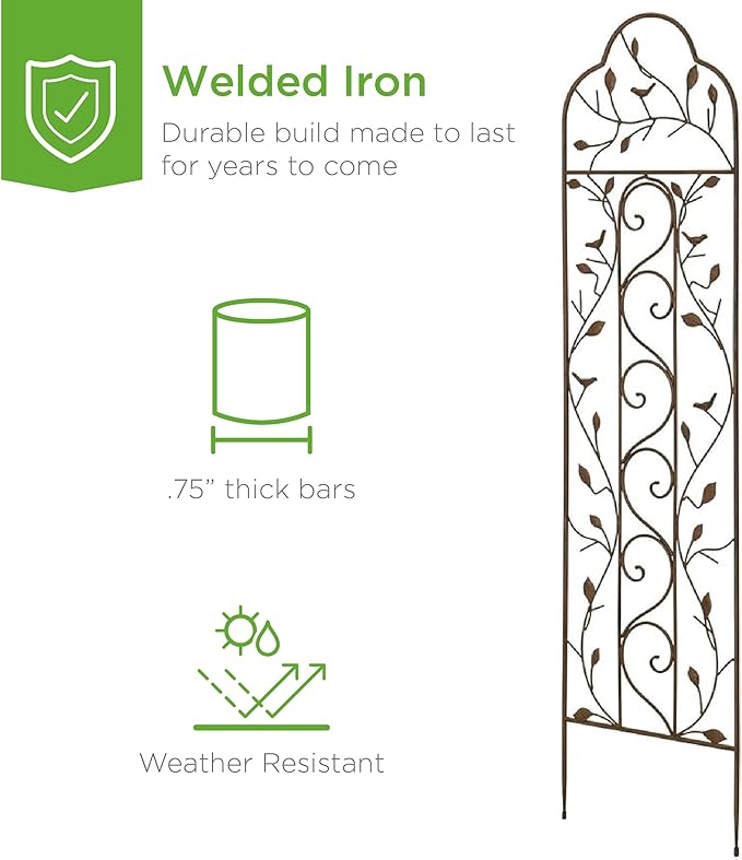 Best Choice Products Set of 2 60x15-inch Iron Arched Garden Trellis w/Branches, Birds for Lawn, Garden, Backyard, Climbing Plants