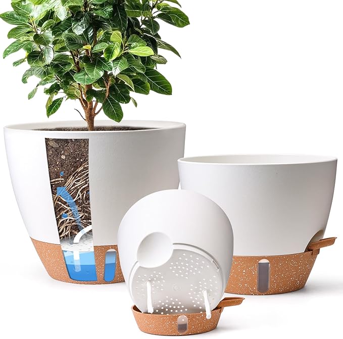 T4U 3 Pack Self Watering Pots (8"+10"+12") - Water Level Indicator & Deep Reservoir, Mess-Free Planters for Busy People, Beginners & Gardeners, Fits Pothos to Monstera, Indoor Outdoor Use (White)