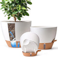 T4U 3 Pack Self Watering Pots (8"+10"+12") - Water Level Indicator & Deep Reservoir, Mess-Free Planters for Busy People, Beginners & Gardeners, Fits Pothos to Monstera, Indoor Outdoor Use (White)