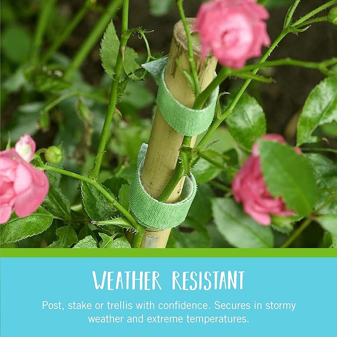 Velcro Brand VEL-30088-AMS Garden Pre-Cut 45pcs ONE-WRAP Plant Ties Suitable for Tomatoes Flowers or Vegetables in Raised Beds, 8 in X 1/2 in, Green-Recycled Plastic
