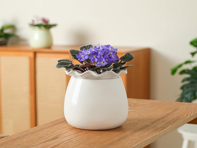 Self Watering Plant Pot, 6 Inch African Violet Pots Maintenance, Ceramic Self-Watering Planter for Indoor Plants - Ideal Flower Pot for Thriving Indoor Gardens, White