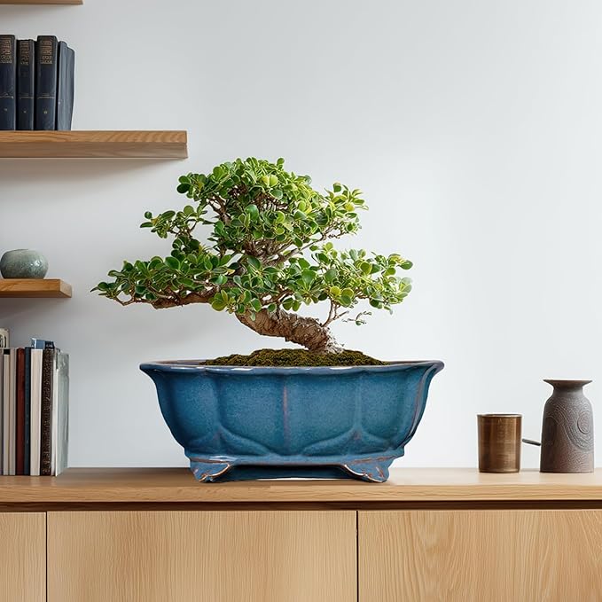 Bonsai Pots - 13.2 Inch Oval Ceramic Pots for Plants, Large Succulent Planter with Drainage Hole, Decorative Planters for Indoor Outdoor, Garden House Decor, Housewarming Gifts, Retro Blue