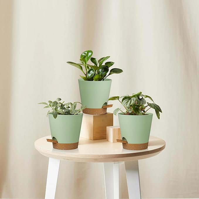5 Pack 5 inch Self-Watering Pots, African Violets Planter with Drainage Holes and Reservoir, Green Brown Plastic Planter for Indoor Outdoor Plants Flowers and Houseplants Green Brown, 5 inch 5 pcs