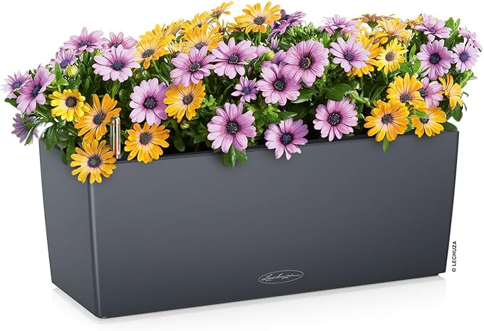 Lechuza BALCONERA Color 50 Slate, Self-Watering Window Box (Railing Planter), H7.5 L19.7 W7.5 in