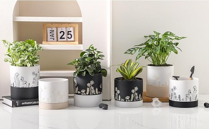 Nihow Ceramic Plant Pot: 6 Inch Planter with Drainage Hole & Saucer for Indoor & Outdoor Plants - Cylinder Round Flower Pot for Succulent/Herbs/Violets - White