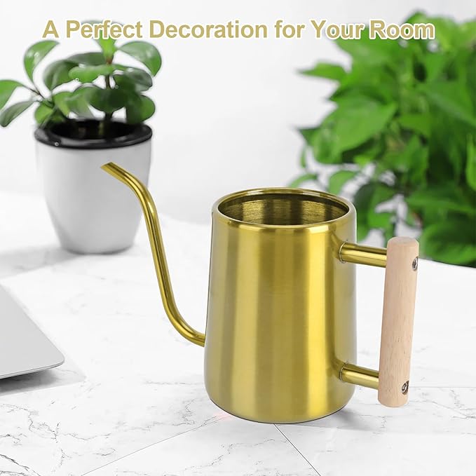 Watering Can Indoor Plants, 35 oz/1000 ml Metal Stainless Steel Watering Can Pot with Long Spout for Indoor House Plants Bonsai Outdoor Garden Flower Decorative (Gold)