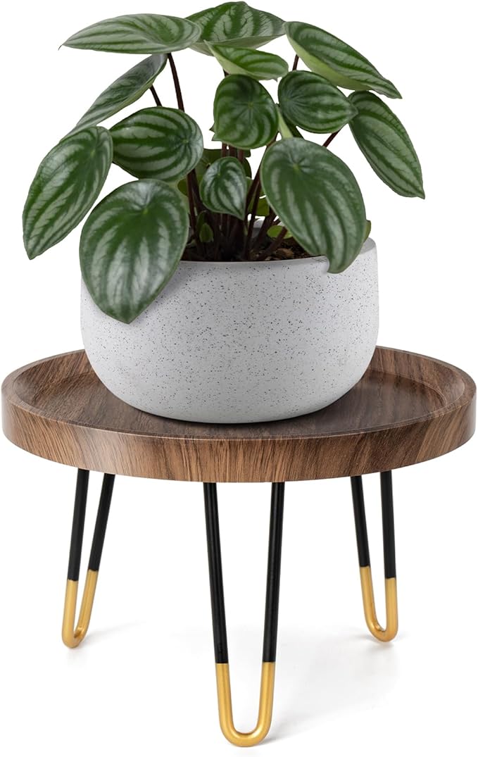 Plant Stand Indoor Outdoor, Mid Century Style Walnut Wood Color Plant Stand,Waterproof Design Modern Plant Table,Easily Assemble Come With Tools,Nice For Room Decor (L)