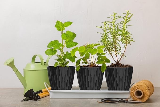 4 Inch Plant Pots, 6 Pack Indoor Flower Pots, Planters with Drainage Holes and Trays for Orchids, Violets, Succulents, Herbs, and Other Plants, Black