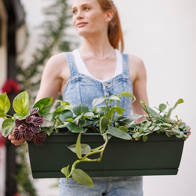 Bloem Dayton Window Box Planter: 24" - Turtle Green - 100% Recycled Durable Plastic Box, Elevated Feet, for Indoor and Outdoor Use, Gardening, 5 Gallon Capacity