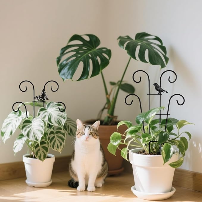 Coomin 14.5 Butterfly Indoor Plant Trellis for Potted Plants, Small Metal House Plant Trellis for Climbing Plants, Climber Plant Support for Hoya Pothos Ivy, 2p