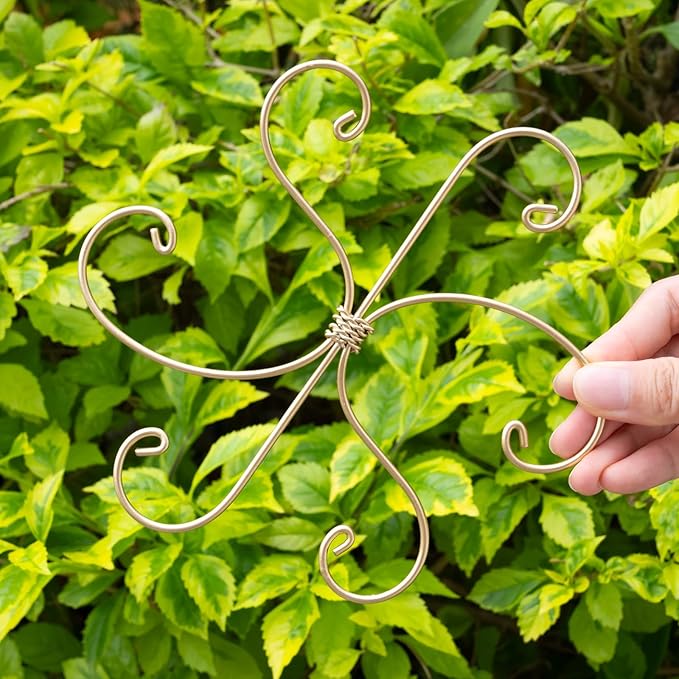 Monstera Plant Stem Support Set of 5 - Durable 7.5in Indoor Stabilizers for Fishbone Cactus - Enhances Growth & Home Decor - Ideal Plant Care Solution