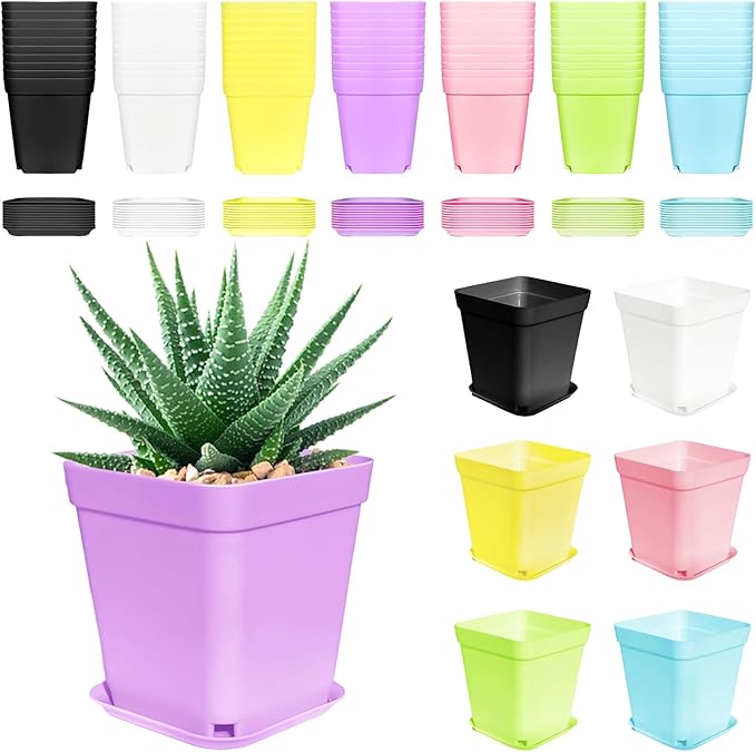 Anyumocz 70 PCS 3" Colorful Plastic Plant Pots,Plastic Square Nursery Pot,Seedling Nursery Pots with Saucers for Indoor Outdoor Plants,Garden,Flower,Home,Office,Balcony Decor