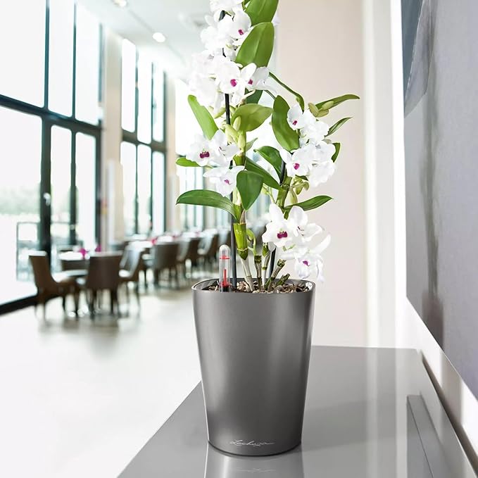 Lechuza 14903 Deltini Self-Watering Planter for Indoor and Outdoor Use, 6" x 6" x 7", Charcoal
