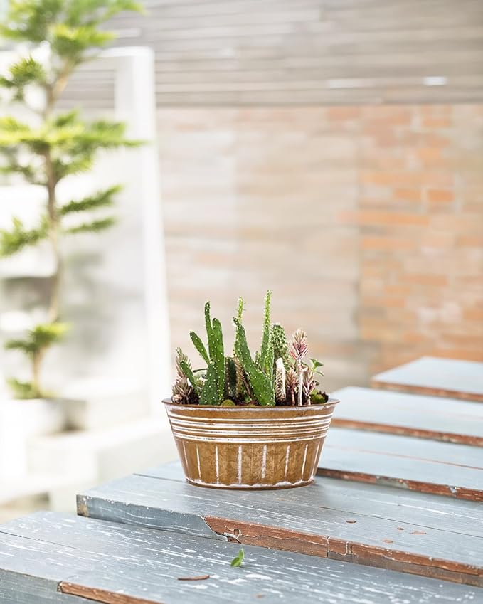 vensovo 10 Inches Brown Metal Rustic Plant Pots - 4 Pcs Large Shallow Galvanized Planters with Drain Hole and Rubber Plug, Rustproof Tin Bucket Succulent Pot Indoor Farmhouse Vintage Style for Decor