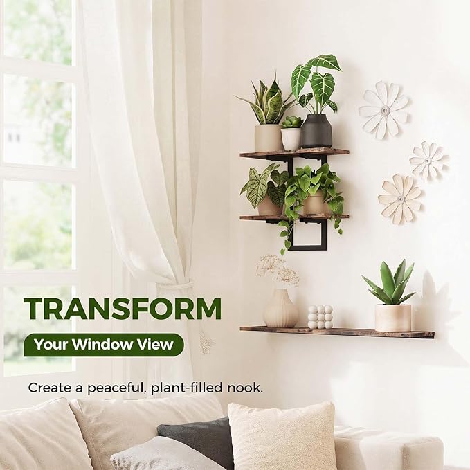 Bamworld Wall Planters for Indoor Plants Window Plant Shelves Vertical Plant Holder Wall Decor Plant Stand Indoor Floating Shelves for Plant Hangers for Living Room Bedroom Bathroom