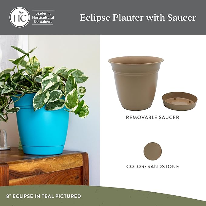 The HC Companies 6 Inch Eclipse Round Planter Pots with Drainage Holes & Attached Saucer, Lightweight UV-Resistant Plastic Indoor Outdoor Planters, 4-Pack Flower Pots for Garden Home Decor, Sandstone