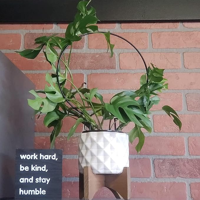 Acrux7 10 Pcs Circle Indoor Plant Trellis for Potted Plants, 10 Inch Small Hoya Trellis for Climbing Plants, Vines, Topiary Frames