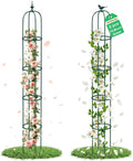 2PCS Garden Trellis for Climbing Plants, 6.2FT Rustproof Metal Pipe with Heavy Duty Plastic Coated, Garden Outdoor Indoor Potted Plant Support, Obelisk Garden Trellis for Climbing Vine (Green)
