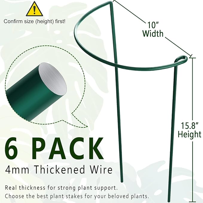6 Pack Plant Support Stakes, 15.8" Half Round Metal Garden Plant Supports for Indoor Plants, Green Plant Cage Ring for Monstera, Peony, Hydrangea, Potted Plant Holder Sticks (10" Wide)