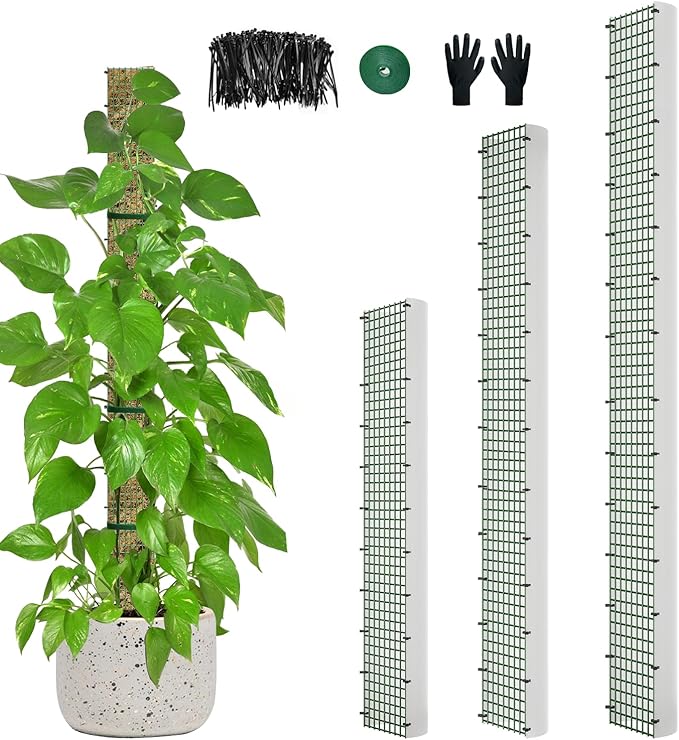 60"/40"/24" Metal Moss Pole, D Shape Sphagnum Moss Pole, Moss Poles for Climbing Plants, Monstera, Indoor Climbing Plants (1 Each of 60" 40" 24")