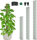 60"/40"/24" Metal Moss Pole, D Shape Sphagnum Moss Pole, Moss Poles for Climbing Plants, Monstera, Indoor Climbing Plants (1 Each of 60" 40" 24")